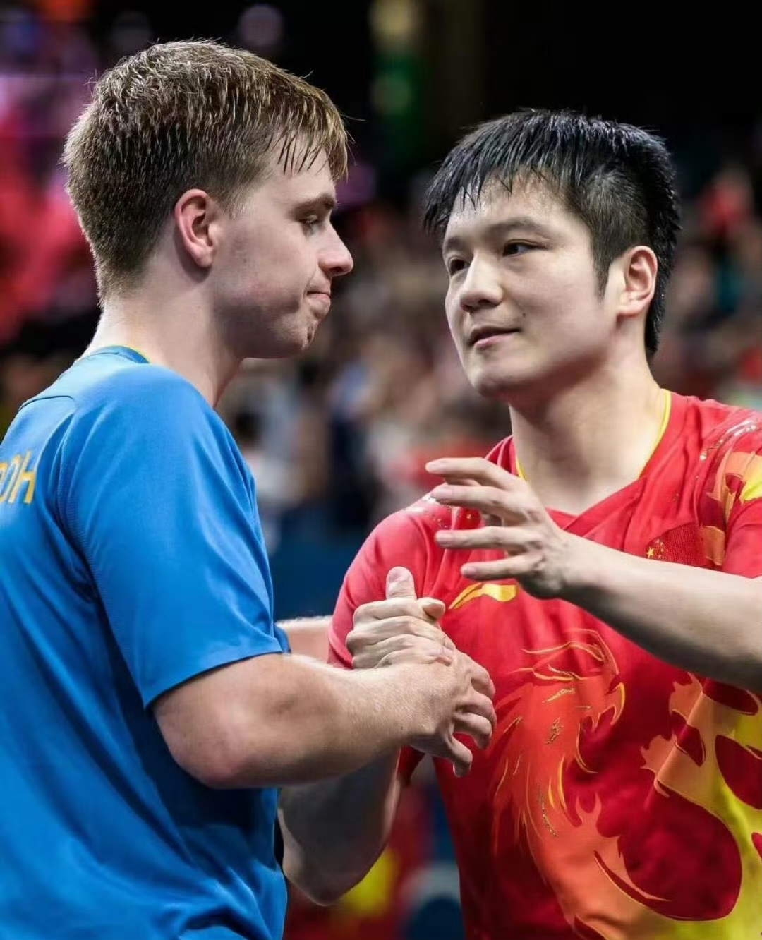 瑞典队完胜葡萄牙队，樊振东高光表现