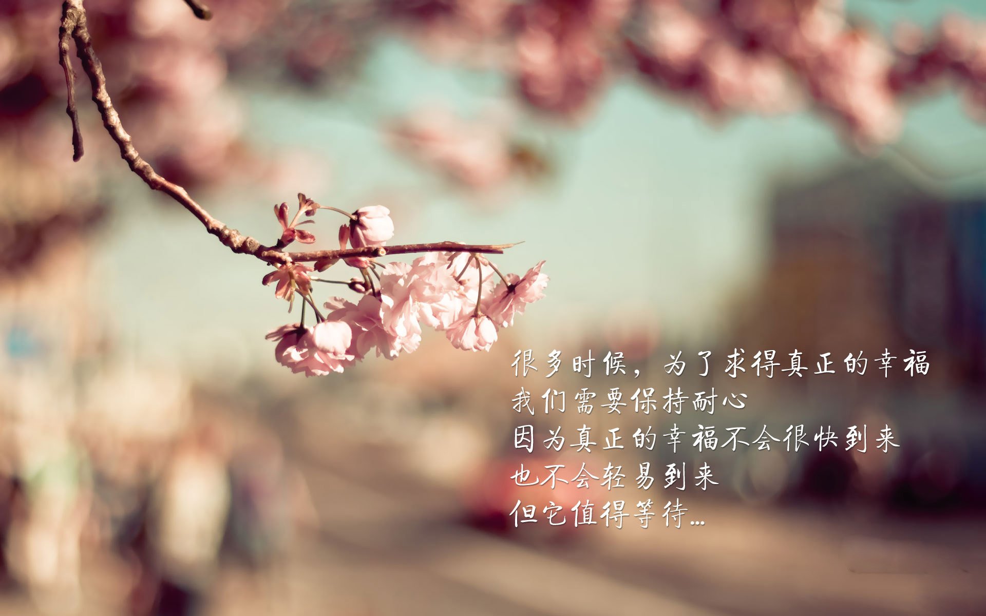 平行宇宙的篮球共振，当约基奇遇见浙江，颠覆竟如此相似