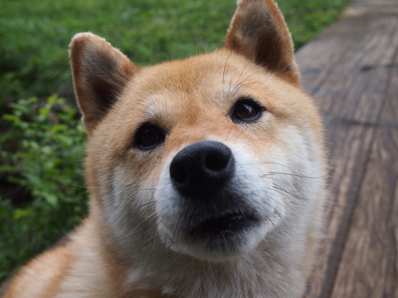 文班亚马，2024，在未来回望这个定义生涯的夜晚