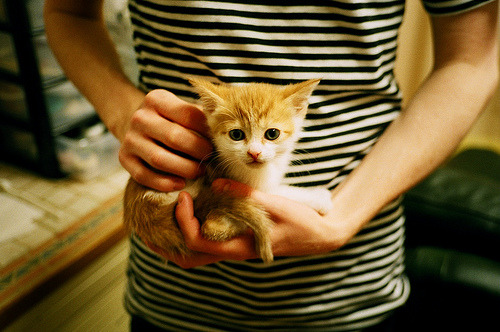 接管时刻!米切尔末节独舞助深圳队完胜山西,排名争夺战占得先机