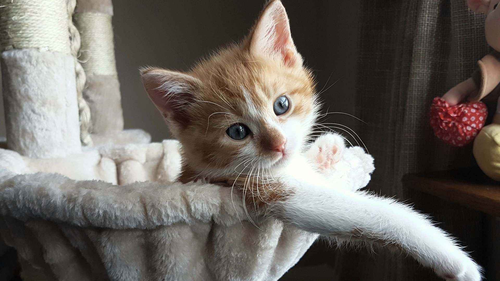 伯尔尼奇迹再现!无名之辈伊萨克三弑桑巴,瑞士钢铁洪流碾碎巴西魔法