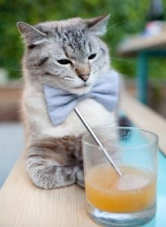 绿军长矛刺穿鹈鹕，老炮的背影与西决回响