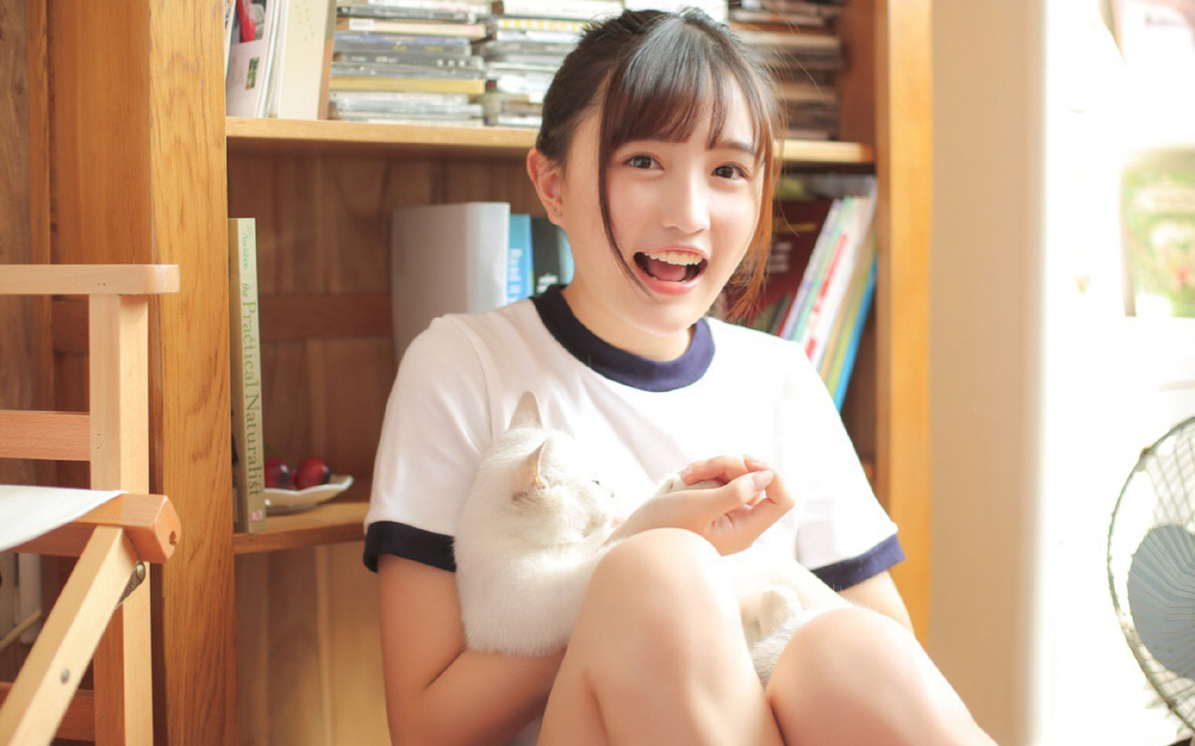 亚特兰大，击溃维京之盾，当意大利火山熔化了冰岛冰川