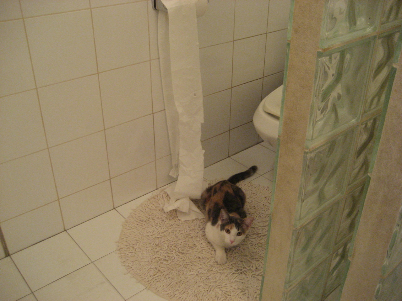 德甲争冠,当雷恩式高压,碾过荷兰式理想