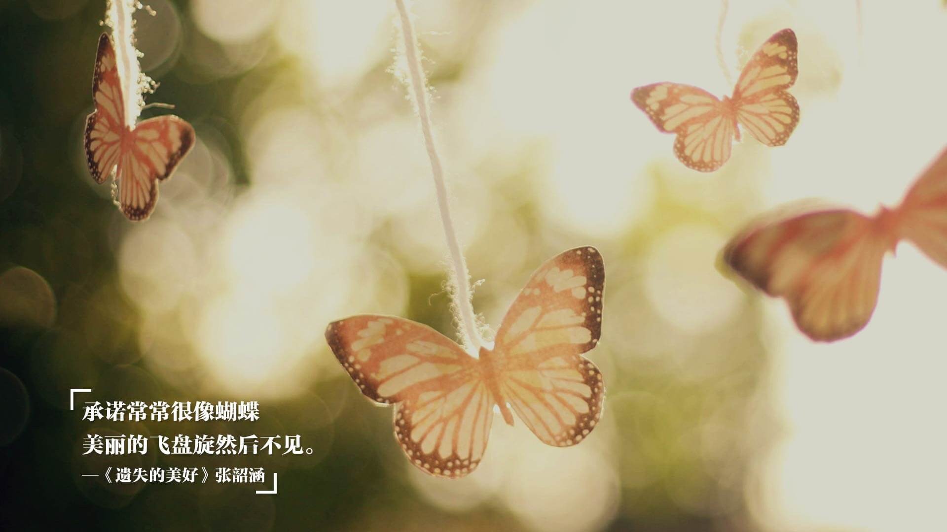 开云体育中国-双线战场上的葡萄牙印记，从德甲争冠到欧战突破