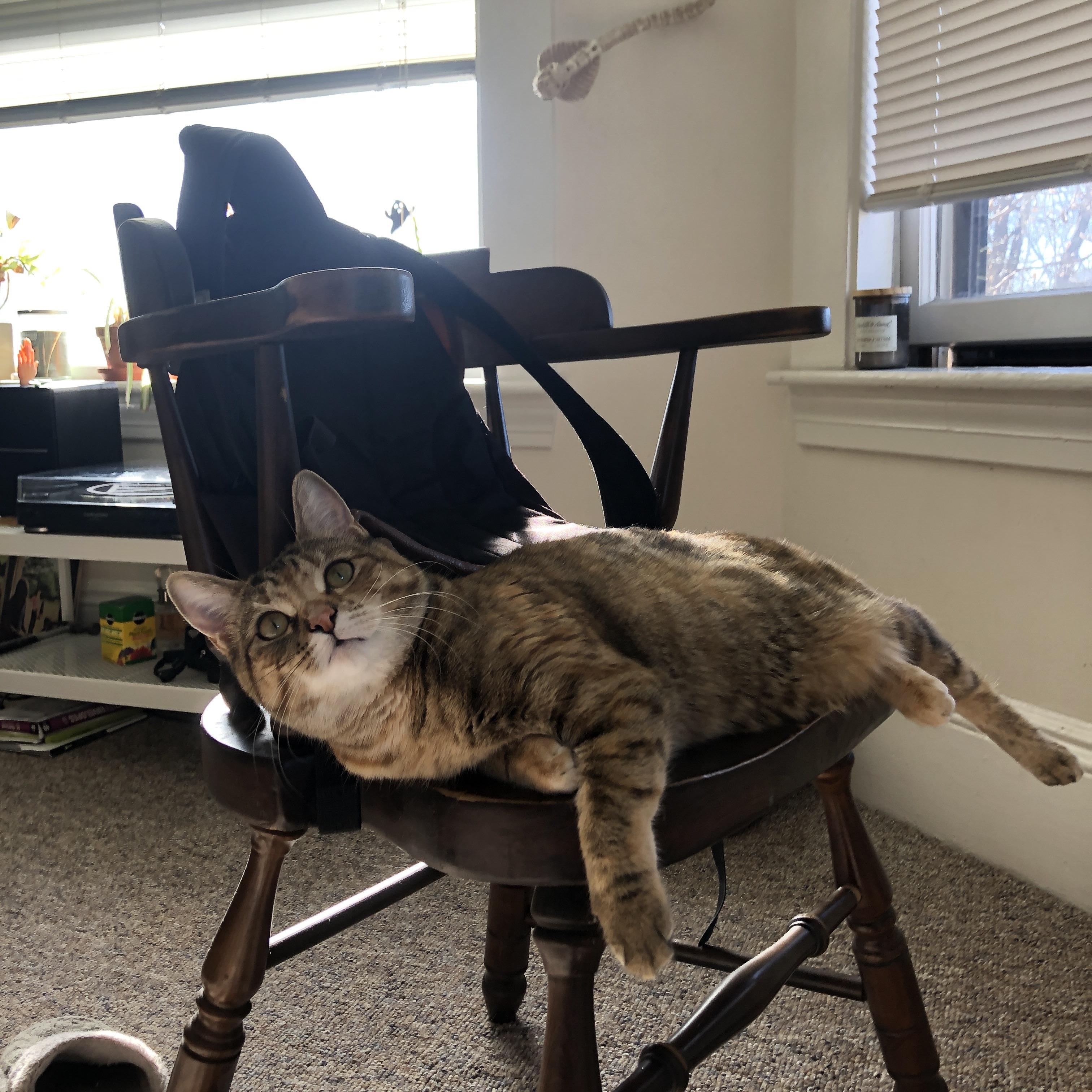 双重唯一性,威尔士的震撼胜利与阿尔瓦雷斯的欧冠传奇