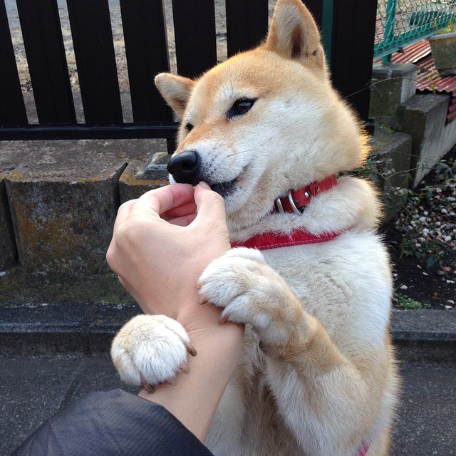 开云体育平台APP-篮球赛场上的进站窗口，当活塞突破森林狼的瞬间，乔治在银石赛道的终圈超车