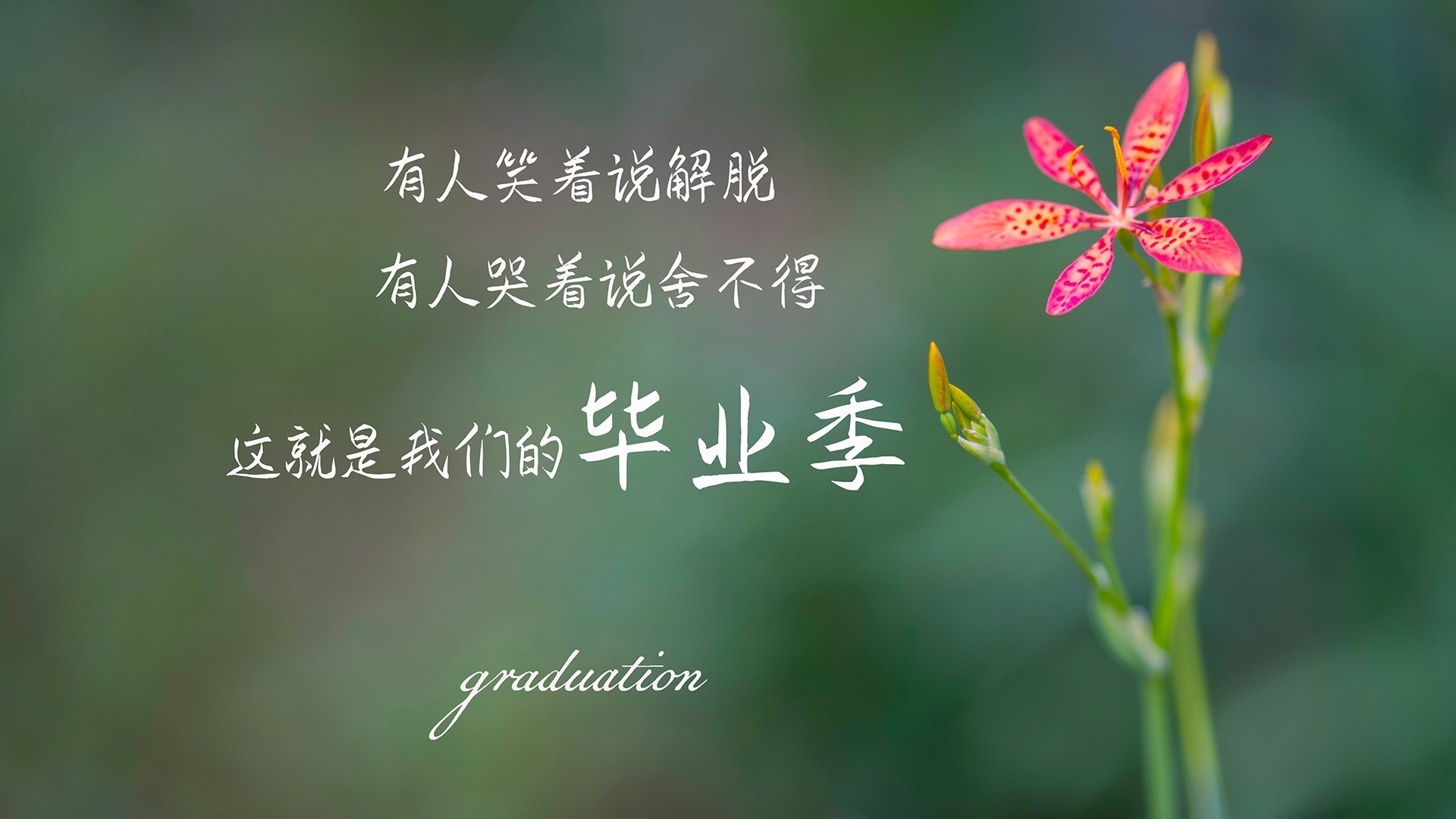 晨昏线划过伊比利亚,皇家社会新王加冕,斯通斯一球定乾坤