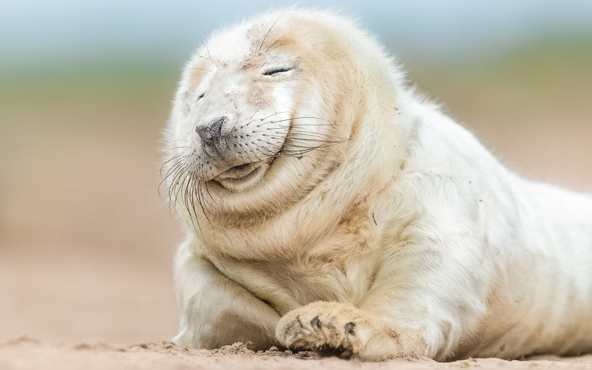 开云体育-铁骑破晓，霍勒迪的沉默爆发与马刺的精密绞杀