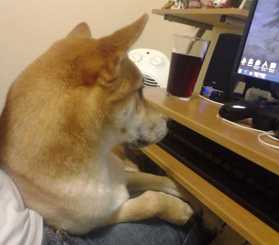 最后2.7秒,当杜兰特的子弹击穿辽宁,一个改写中国篮球未来的夜晚