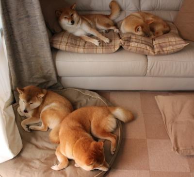 开云体育入口-当足球的脉搏在NBA地板上跳动，恩佐的另一种三分雨