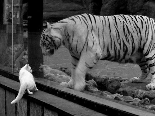 分水岭，罗德里如何在赫尔辛基的寒夜中重塑北欧足球叙事