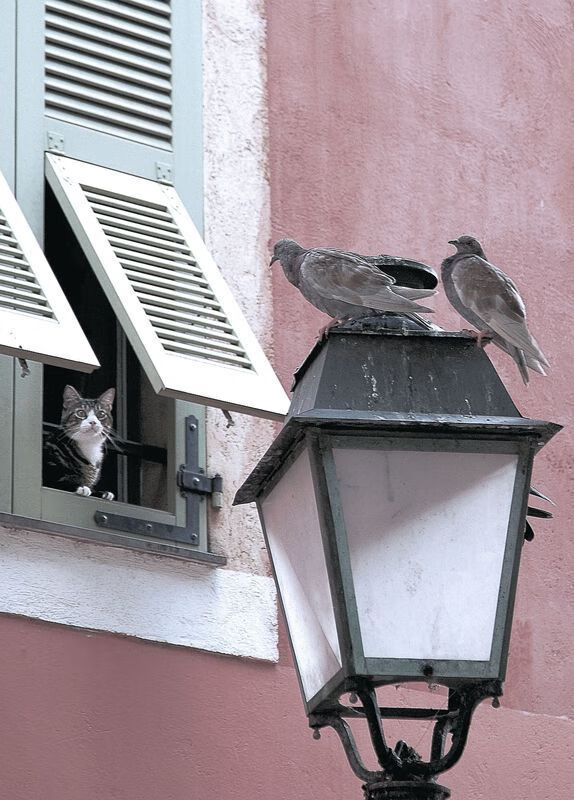 燃尽黑夜，勒布朗·詹姆斯一个人的抢七法则