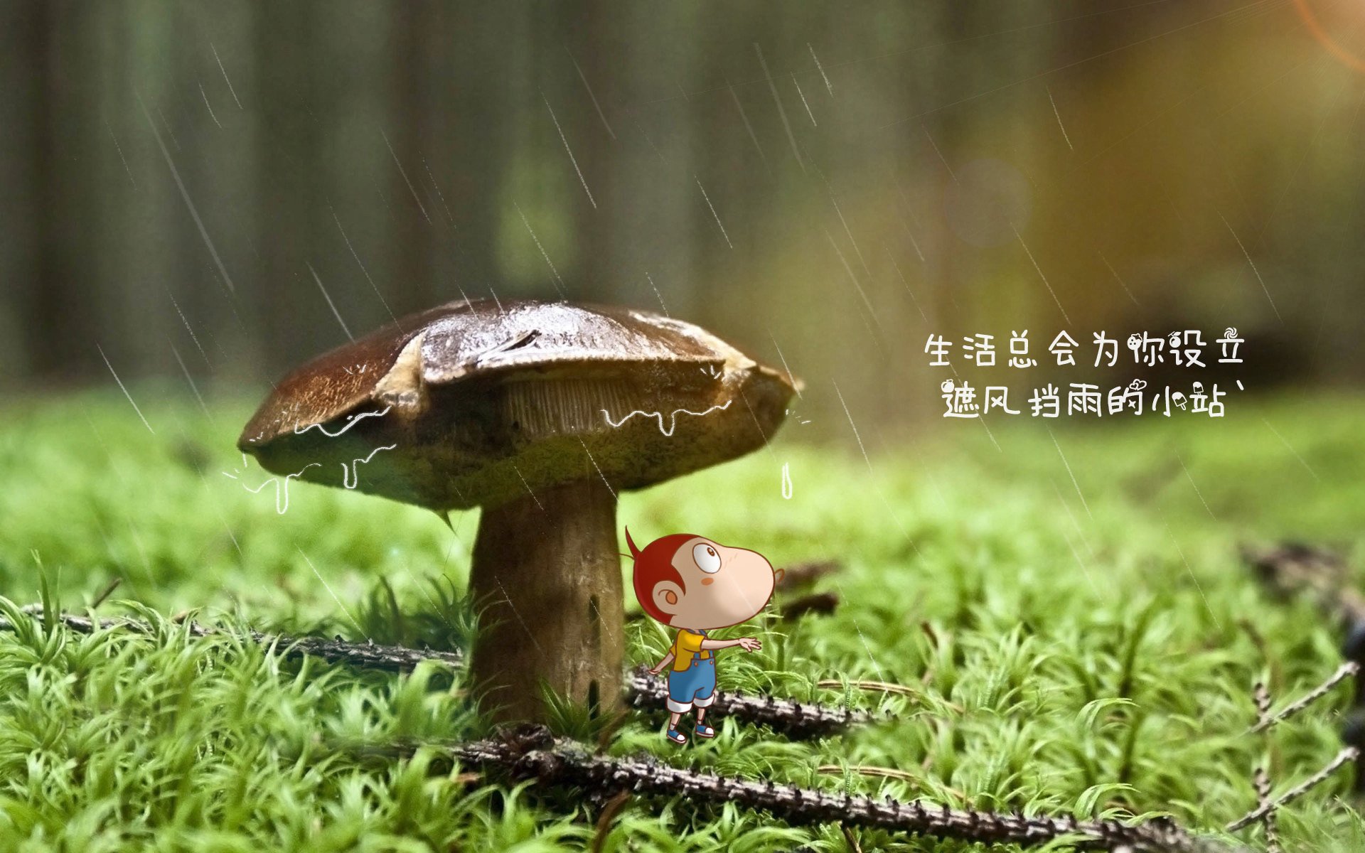 血洗与神迹,2026世界杯E组焦点战,波兰的团队风暴与贝林厄姆的上帝模式