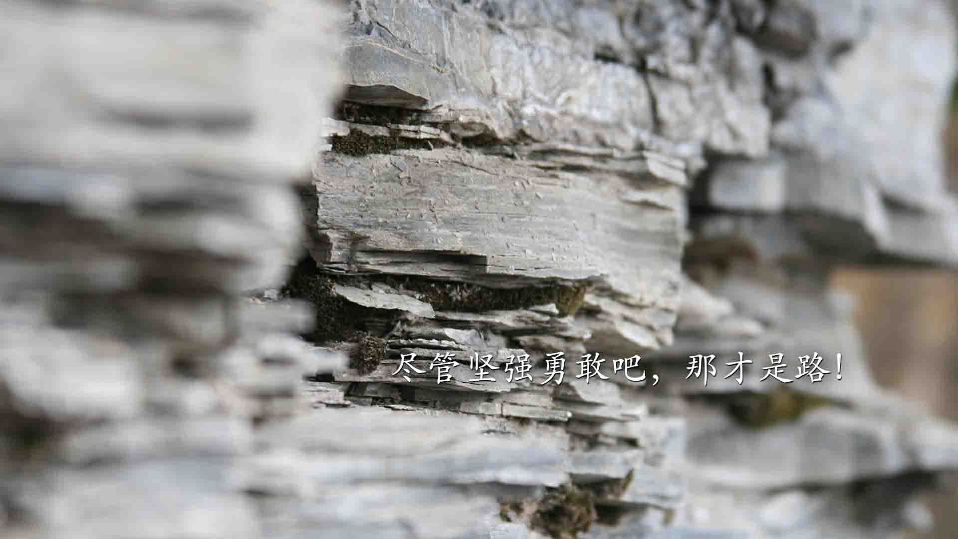 北欧海盗的救兵,当吉鲁的铁蹄踏破维也纳森林