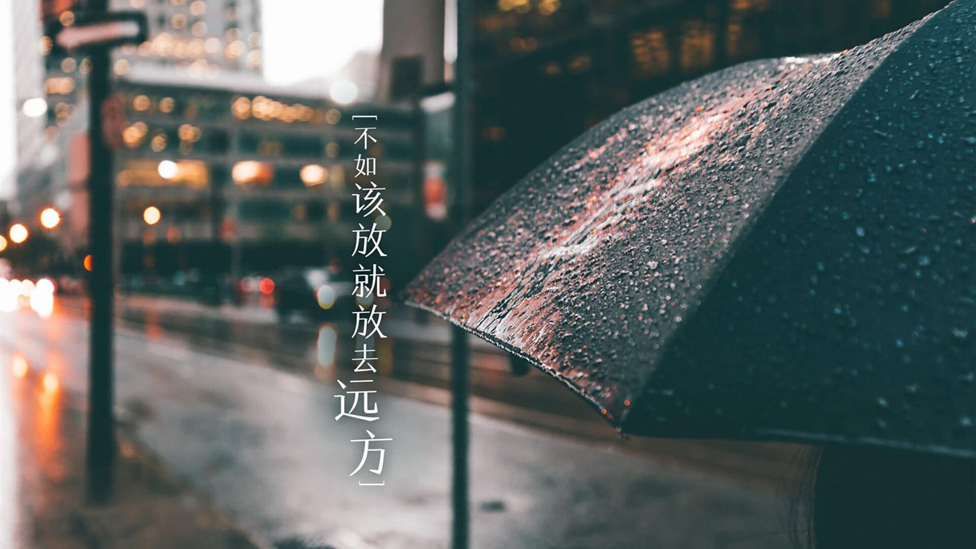 开云体育平台APP-撕裂铁幕的桑巴舞步，维尼修斯如何在2026世界杯H组用一脚未来刺穿保加利亚的防线