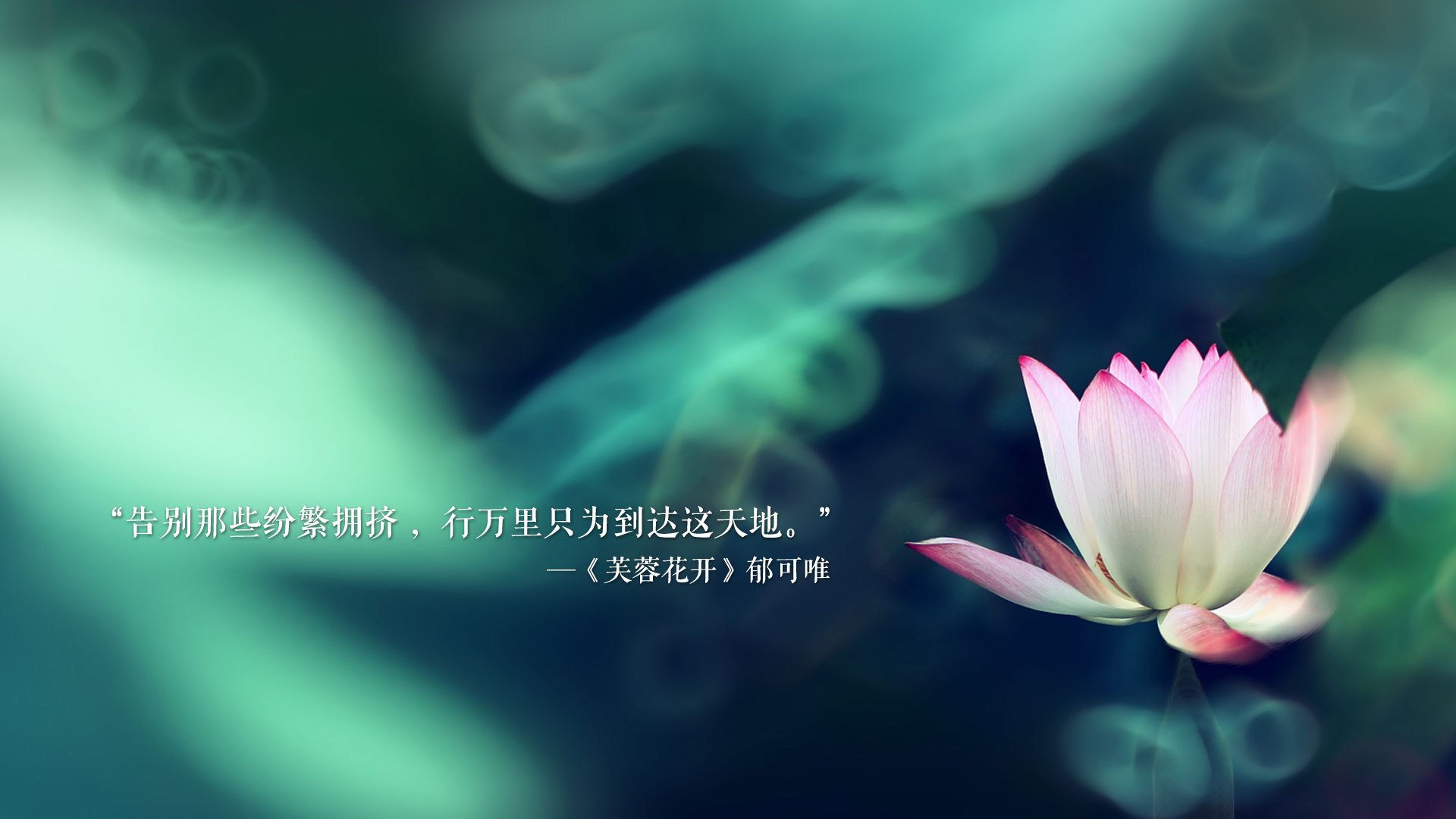 开云体育app-底格里斯河的怒火与太极虎的咆哮，2026年E组，两种足球强权的唯一救赎