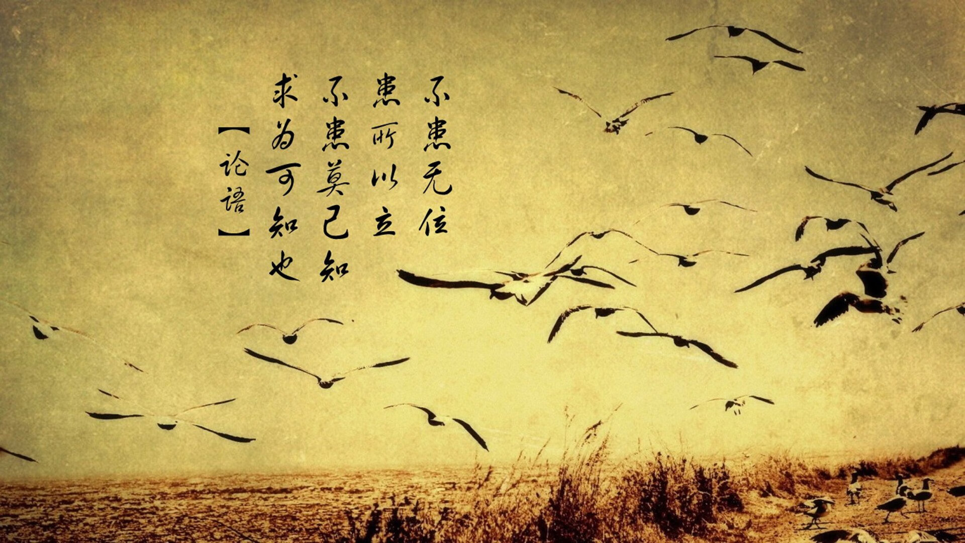 暮光与黎明,当莫德里奇的魔术,在巴格达城墙前逆转了时间